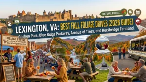 Best Fall Foliage Drives Near Lexington, VA